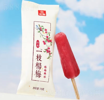 �����ɾ�һ֦��÷�����挍������������ܱ�����ѩ��