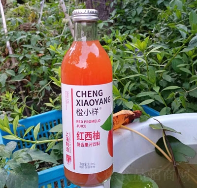 ��С�Ӽt���֏ͺϹ�֭���818ml