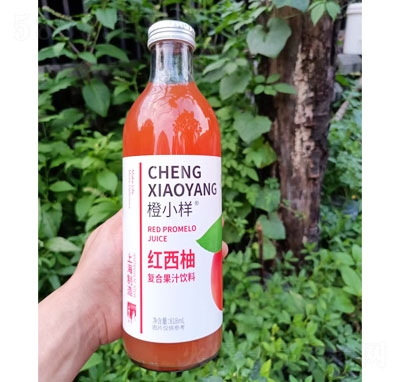 ��С�Ӽt���֏�(f��)�Ϲ���֭���818ml