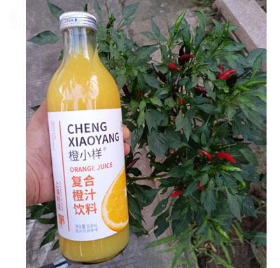 ��С�ӏ�(f��)�ϳ�֭���818ml