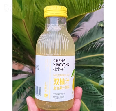 ��С���p��֭�ͺϹ�֭���318ml