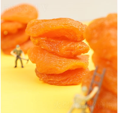 �ȱ����Ӹ��Ӹ��������T��ʳ