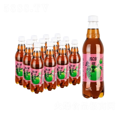 �������ϱ�����ˮ��÷ζ500����̼�����