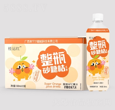 ���\�tɳ�ǽ�ζ��ˮ500mlX15ƿ