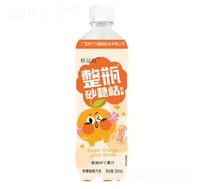 ���\�tɳ�ǽ�ζ��ˮ500ml