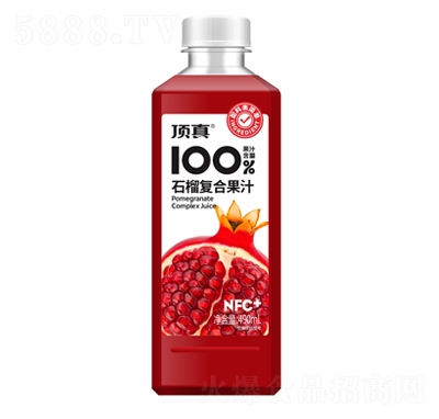 ���100%ʯ���(f��)�Ϲ�֭490ml