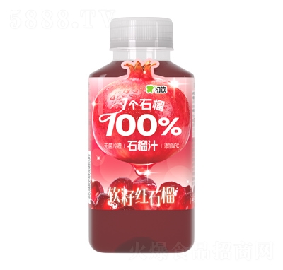 ���100%ʯ��֭255ml