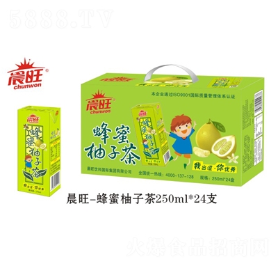 �����������Ӳ�Y���b250mLX24��