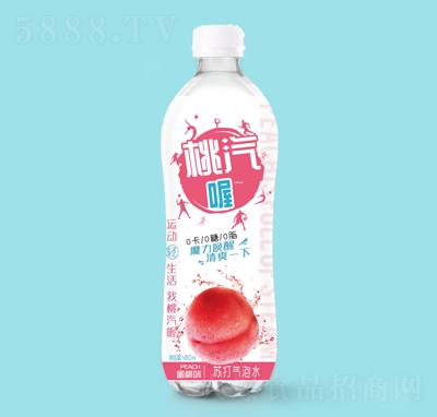�h�������ζ�K�����ˮ480ml