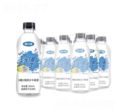 �˿ڼ��}��ζ��ˮ���500mL
