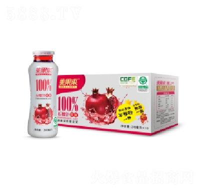 ԭ����ʯ��֭240ml��10ƿ