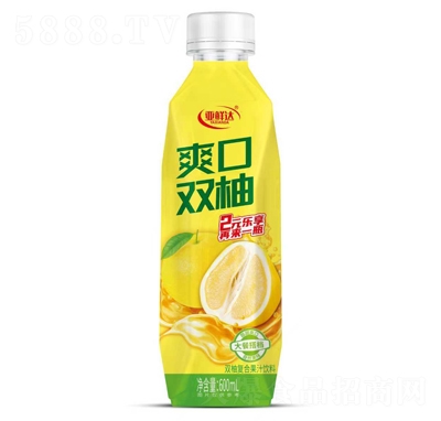 ���r�_�p�֏ͺϹ�֭���600ml