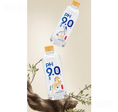 ����ԭζ�K��ˮ520ml
