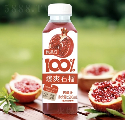 �����(l��)100%��ˬʯ���֭500ml