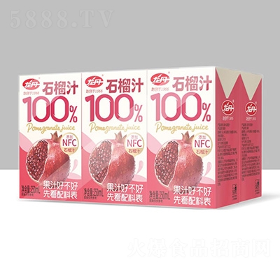 ����100%ʯ��֭��֭���250ml