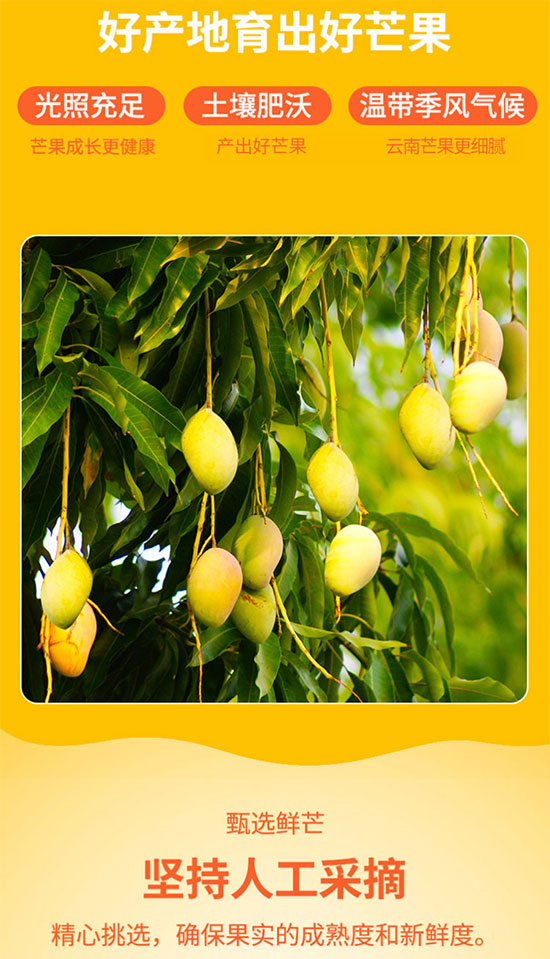 品世300ml芒果汁 品世300ml芒果汁