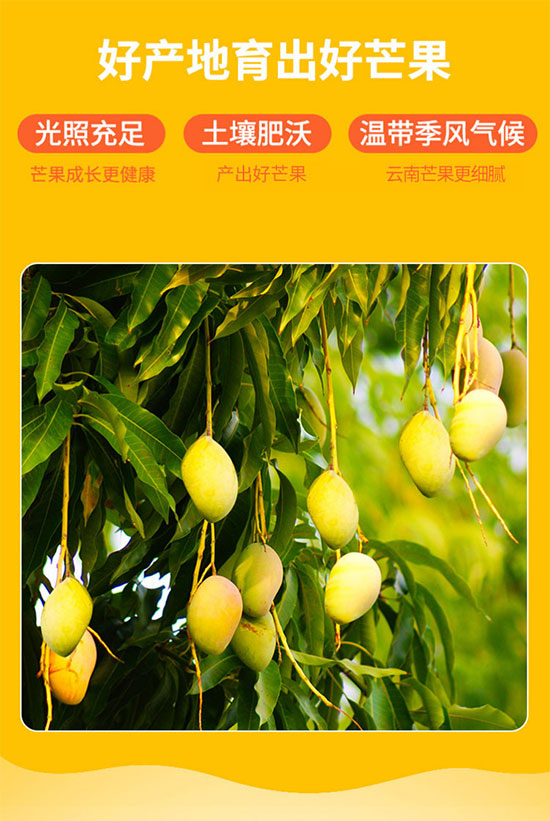 品世226ml芒果汁 品世226ml芒果汁