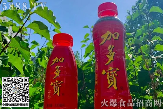 迷你裝加多寶 迷你裝加多寶