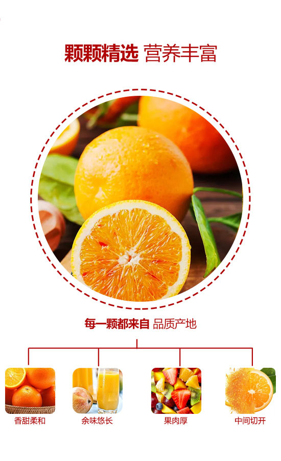 �ĕ��w��������޹�˾-��֭3_03