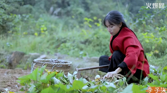 ����ʳƷ��˾����������ʽ�M��ʳƷȦ��