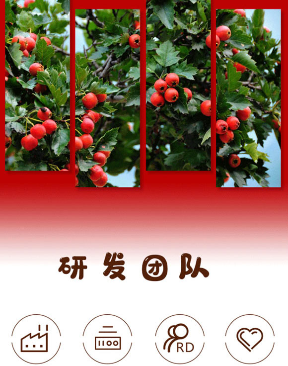 �����м�����ʳƷ���޹�˾-ɽ髹�֭_04