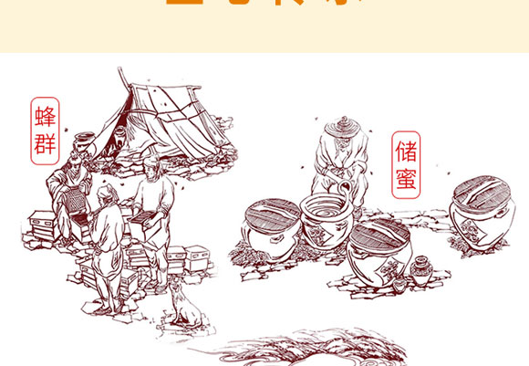 �f��������Ӣ����