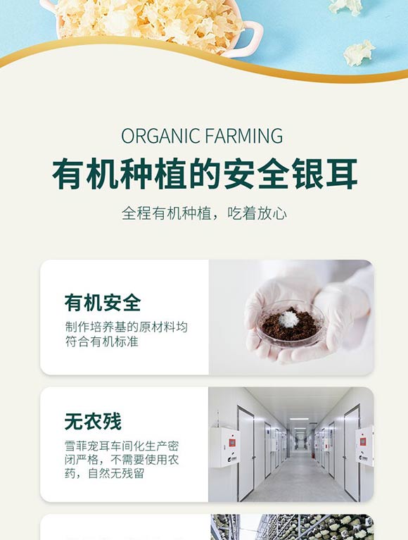 銀耳花_03 銀耳花_03