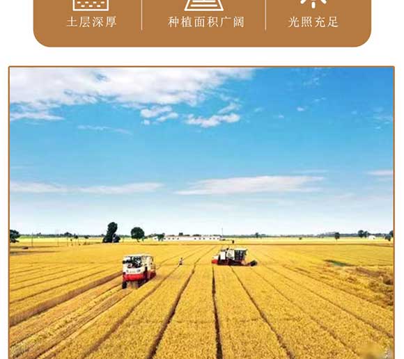 ԥ��(sh��)���ϠZ��