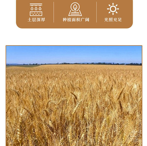 �˳Լ��w��ħ����(���uζ)