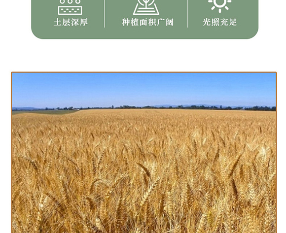 蔥油味蕎麥魔芋面 蔥油味蕎麥魔芋面