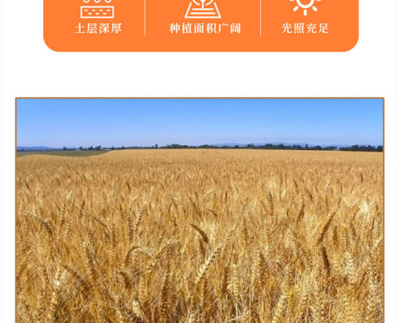 �˳Լ��w��ħ����(����ζ)