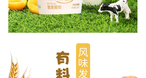 ������ţ�f�@���B(t��i)�r(n��ng)�I(y��)�_�l(f��)���޹�˾--�a(ch��n)Ʒ����(c��)�S��_07